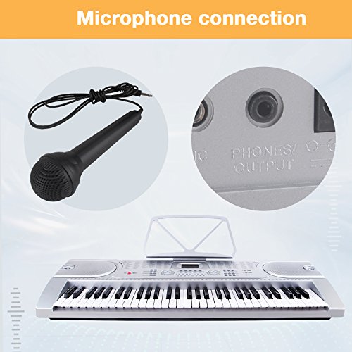 LAGRIMA 61 key Portable Electric Piano Keyboard, Include LED Display, USB/Headphones/MP3 Input, Music Stand, Power Supply and Microphone, Suit for Kids(Over 8 Years Old) Teen Adult Beginners, Silver