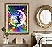eGoodn Diamond Painting Kit Full Drill DIY Cross Stitch by Number Kit Wall Decor Art, Canvas 15.8 inches by 19.7 inches, Butterfly Fairy, No Frame
