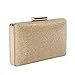 Damara Womens Sparkling Metal Lock Clutch Evening Bag,Gold