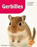 Gerbilles (Mini-maxi) (French Edition) by