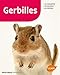 Gerbilles (Mini-maxi) (French Edition) by