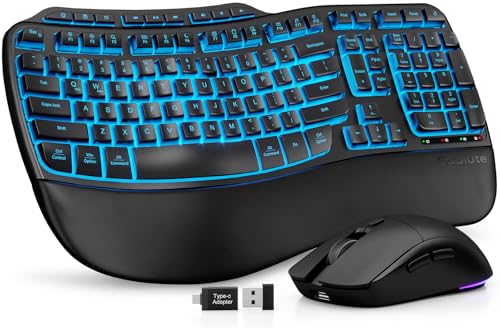 SABLUTE Ergonomic Wireless Combo