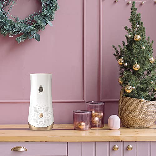 Glade Automatic Spray Refill, Air Freshener for Home and Bathroom, Pine