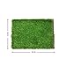 Rukket Mini Turf Golf Hitting Grass Mat | Realistic Grass | Portable Driving, Chipping, Training Aids, Equipment for Residential Backyard & Indoor Practice W/Rubber Tee & Practice Balls (Rough Turf)