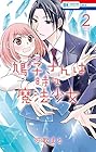 鳩子さんは時々魔法少女 第2巻