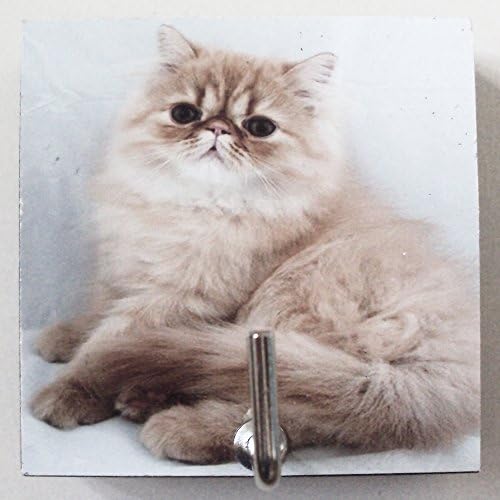 Agility Home Decor Bedroom Wall Hanger Jewelry Accessories Necklace Medal Key Adhesive Wood 2.36" x 2.36" Small Hook Cat's Photo