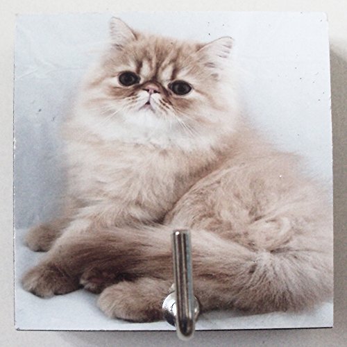 Agility Home Decor Bedroom Wall Hanger Jewelry Accessories Necklace Medal Key Adhesive Wood 2.36" x 2.36" Small Hook Cat's Photo