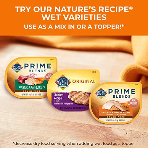 Nature's Recipe Grain Free Dry Dog Food, Salmon, Sweet Potato