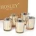 Hosley Set of 12 Metallic Mercury Votive Tealight Glass Candle Holders - Your Choice of Colors. Ideal for Parties Wedding Special Events Aromatherapy and Everyday Use O5 (Gold)