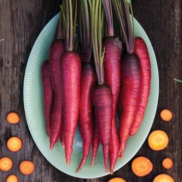 Organic Non-GMO Dragon Carrot - OPEN-POLLINATED - Garden Vegetable Seed for Planting (price includes shipping)
