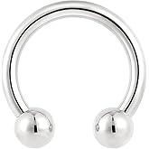 Pierced Koala 2PCS Titanium Implant Grade Internally Threaded Nose Rings Horseshoe Circular Barbell Septum Jewelry 16G 14G 12G 10G Nose Ear Piercing Jewelry Conch Helix Rook Lip Nipple Cartilage Earring for Women Men