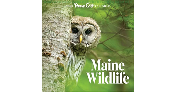 Downeast Calendar 2023 Amazon.com: 2023 Maine Wildlife Wall Calendar: 9781944094324: Down East  Magazine: ספרים