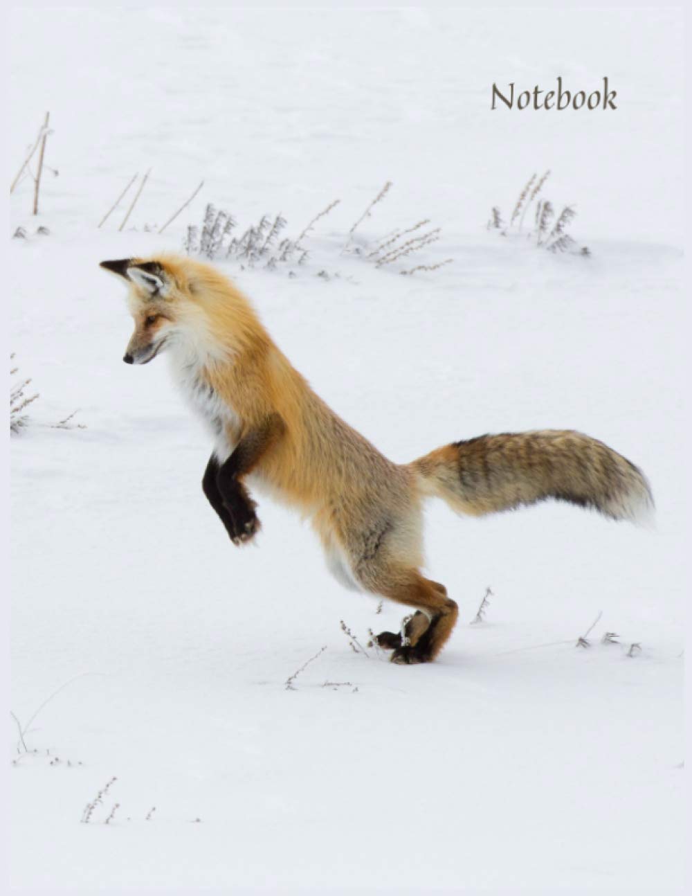 Fox Notebook: 120 pages 8.5"x11" Lined Notebook Fox Themed gifts ,Fox Notebook for School,Fox Composition Notebook College Ruled