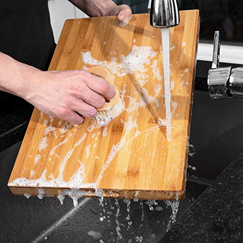 Cast Iron Coconut Soap Plant Based Castile and Refined Coconut Soap