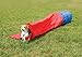 PetSafe Agility 3' Closed Tunnel