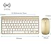 Keyboard & Mouse Combos, URCO Ergonomic Wireless 2.4G Ultra Slim Keyboard and Portable Mouse for Gaming and Working (Gold)