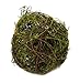 Darice Natural Vine Ball, 4