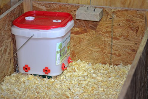 2 Gallon Chicken Waterer - Horizontal Nipple Setup (4 Nipple Corner)