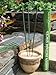 Amazon Lights All-natural Premium Citronella Outdoor Garden Incense Sticks with 2.5-3.0 Hour Burn Time. Brazilian Andiroba Oil Blended with Citronella, Rosemary & Thyme (12-incense sticks per tube)