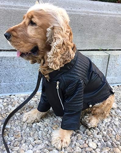 dog leather biker vest