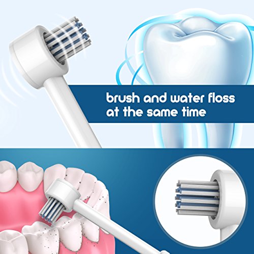 Homitt Water Flosser Plaque Remover, Dental Pik Oral Irrigator 10 Pressure Setting with 1