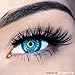 Lash'd Up Dramatic Magnetic Eyelashes Full Eyes Premium Grade Silk Bold Glam [No Glue] Child Cancer Partner Better Than 3 Magnets Reusable False Lashes | Undress me