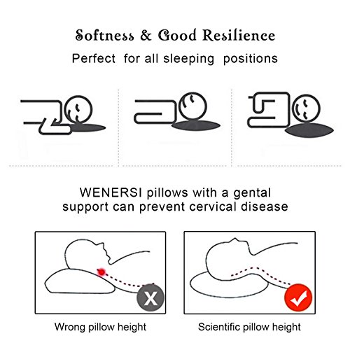 Wenersi pillows Clearance