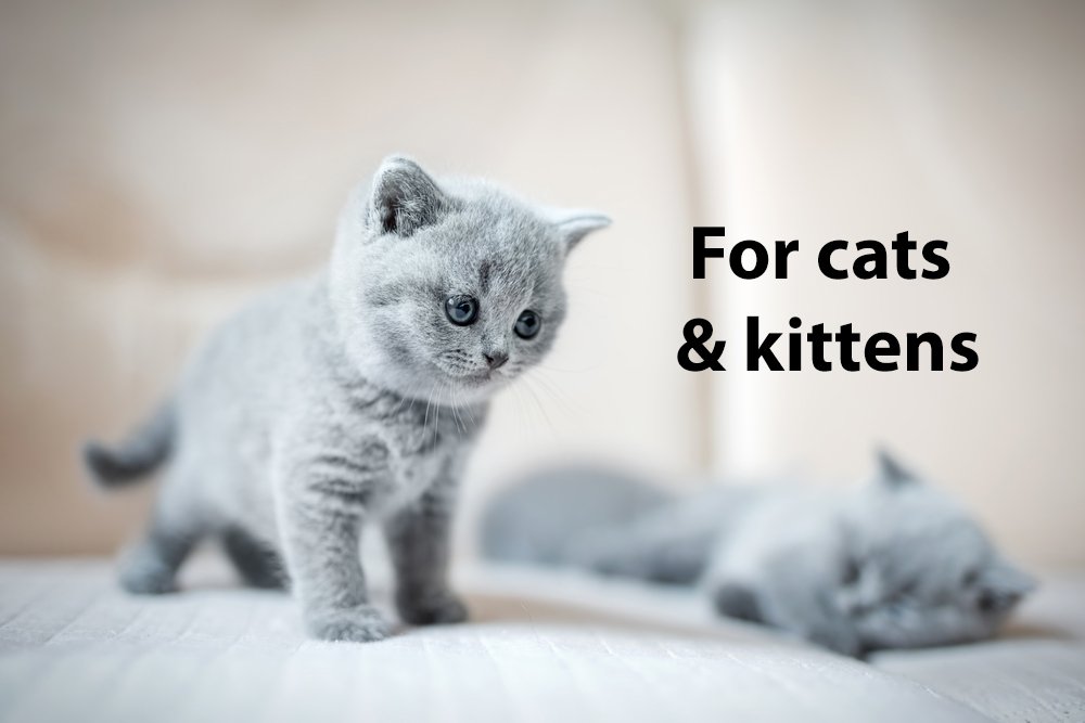 DrFormulas Nexabiotic Probiotics for Cats Powder Treats Diarrhea for