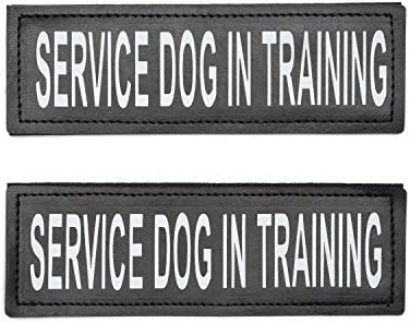Hook Patches for Harness - Service Dog, Emotional Support, in Training, Service Dog in Training, and Therapy Dog Patches, by Industrial Puppy (Service in SS - 4" x 1.6")