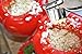 Garlic Press,Xjoyous - Easy Useful Handy Kitchen Gadgets Garlic Stainless Steel for Kitchen Tools
