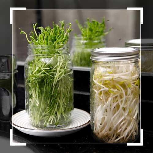 Beauenty Mason Jar Sprouting Kit-2pack 32oz Complete Wide Mouth Mason Jar Sprouting Kit with Stainless Steel Sprouter Lids,Stand &Tray,Sprouting Jars for Bean Broccoli Alfalfa Radish Sunflower Seed