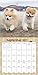Boo Wall Calendar (2017)