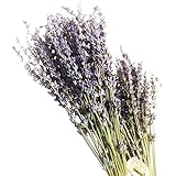 100stems Real Natural Dry Lavender bunch Dried Flower,Decorative Flowers Bouquet for Wedding Home Decorations Valentine's Day Gifts (100)