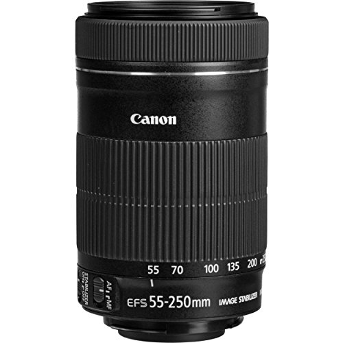 Canon EF-S 55-250mm f/4-5.6 IS STM Lens + 3 Piece Filter Set + 4 Piece Close Up Macro Filters + Lens Cleaning Pen + Pro Accessory Bundle - 55-250mm STM: Stepper Motor Lens - International Version