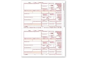 EGPCHECKS EGP IRS Approved 1099-R Laser Tax Form, Government Payments, Federal Copy A, Quantity 100 Recipients