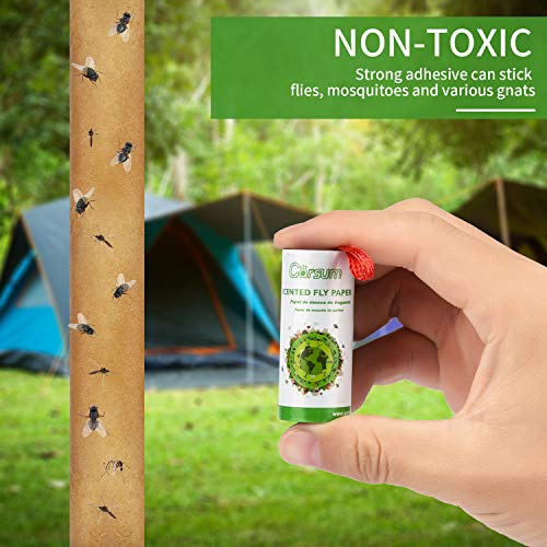 Garsum Fly Strips Traps, Fruit Fly Paper, Sticky Fly Ribbon Catcher,12