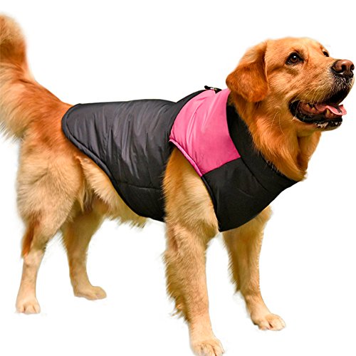 Windproof Amazon Dog Coats Medium Dog Winter Coat Vest
