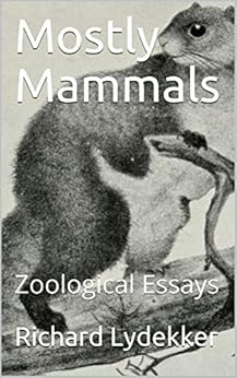 Mammals essays picture