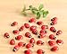 Sc0nni 200Pcs Painted Wooden Ladybug/Self Adhesive/Craft/Decorations/Home Decor/Plants 10x13mm