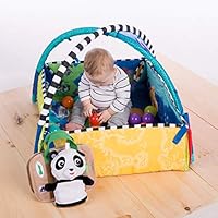 baby einstein 5 in 1 baby gym