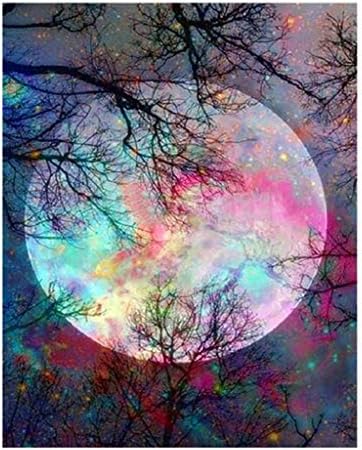 FILOL 5D DIY Moon Pattern Diamond Painting Kit, Full Rhinestone Diamond Embroidery Rhinestone Cross Stitch Arts Craft Supply for Home Wall Decor Living Room Bedroom (D)