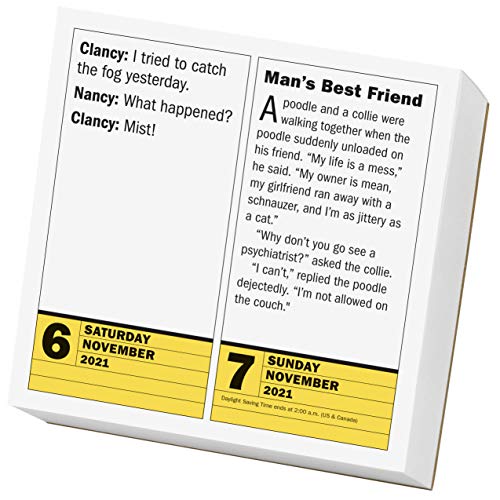 290 Bad Jokes & 75 Punderful Puns PageADay Calendar 2021 Pricepulse