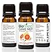 BioFinest Grapefruit Oil - 100% Pure Grapefruit Essential Oil - Weight Loss, Reduce Sugar Craving - Premium Quality - Therapeutic Grade - Best For Aromatherapy - FREE E-Book (10ml)
