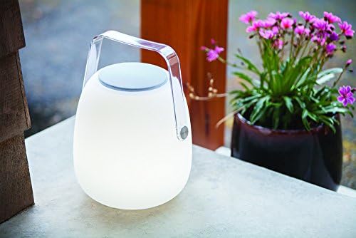 mooni speaker light
