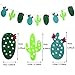 Simla Decor Cactus Party Decorations Set - Cactus Foil Balloons Baby Shower Cactus Felt Bunting Banners Garland Succulent Cactus Cupcake Toppers