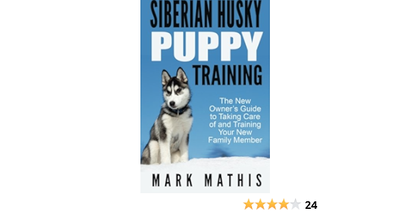 taking care of a husky puppy