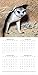 Meerkats 2019 Calendar