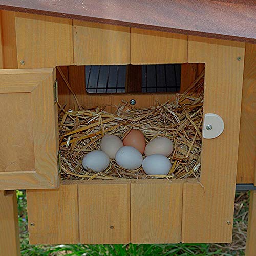 Ferplast Hühnerstall für Legehennen Hen House 10 für den AuÃenbereich, aus widerstandsfähigem, umweltfreundlichem FSC Holz, für ca. 4 Hühner, Zubehör inklusive, 124 x 98 x 110 cm. – Bild 5