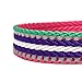 Blueberry Pet Reflective Dog Leash - Puppy Essentials, Gentle Leader for Dogs, Reflective Dog Collar & Leash, Eco-Friendly, Durable Nylon, Comfortable Handle for Active Pet Parents & Dogs That Pull