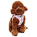 PUPTECK Soft Mesh Dog Harness and Leash Set Pet Puppy Cat Comfort Padded Vest No Pull Harnesses, Pink, XXS